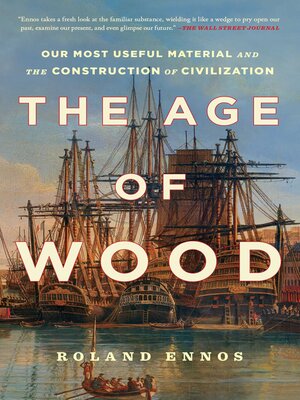 cover image of The Age of Wood